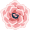 flower & more